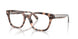 6307 - Tortoise
