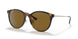 710/83 - Tortoise - Brown