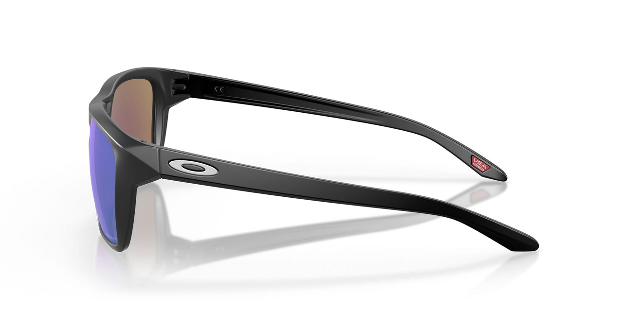944812 - Black - Prizm Sapphire Polar