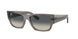 Ray-Ban Carlos 0947SF Sunglasses