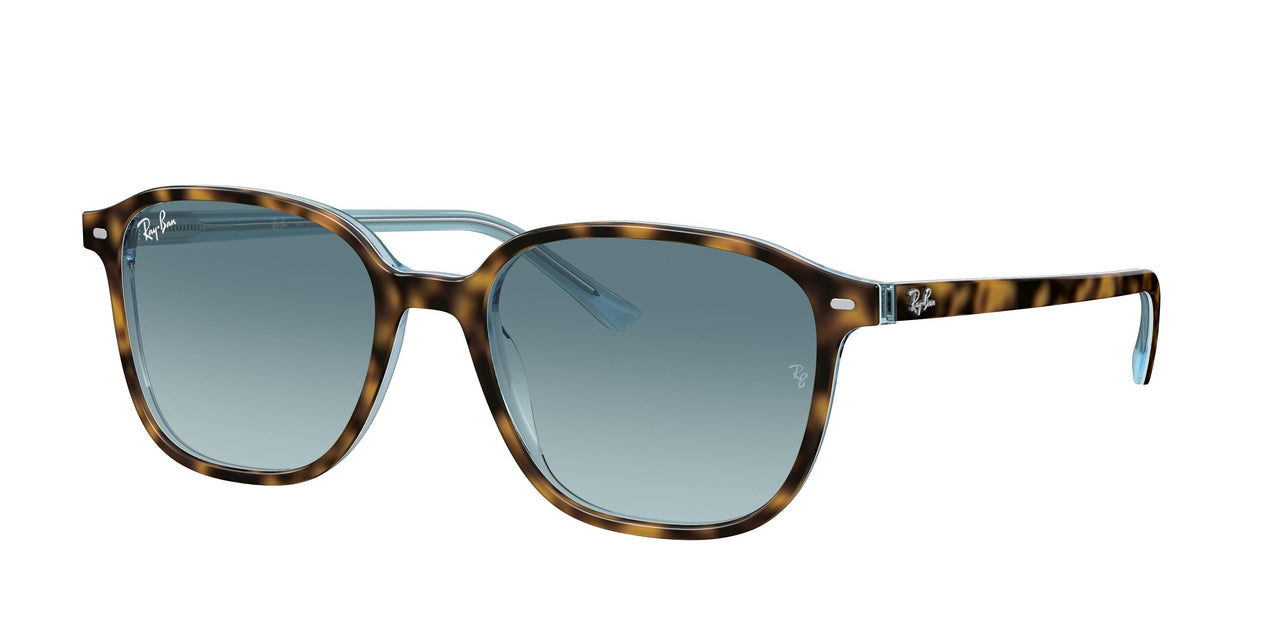 Ray-Ban Leonard 2193F Sunglasses