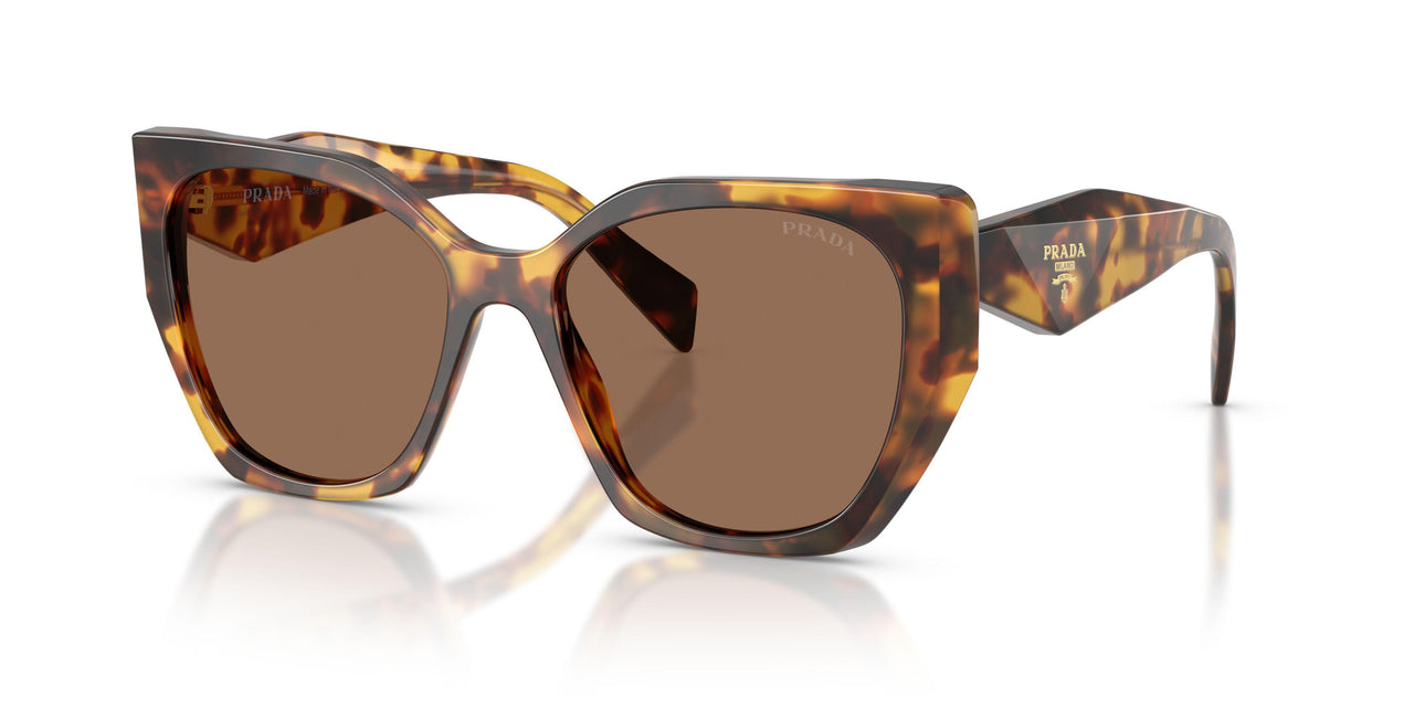 14L06B - Tortoise - Dark Brown