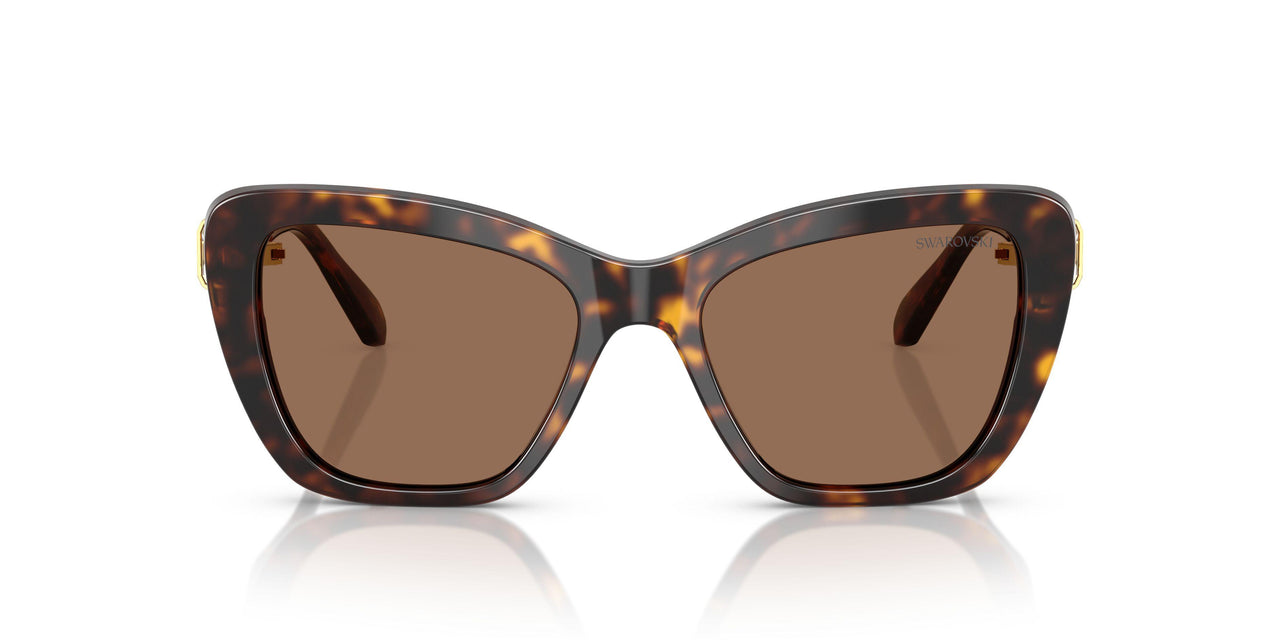 100273 - Tortoise - Dark Brown