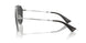 136648 - Silver - Polarized Black