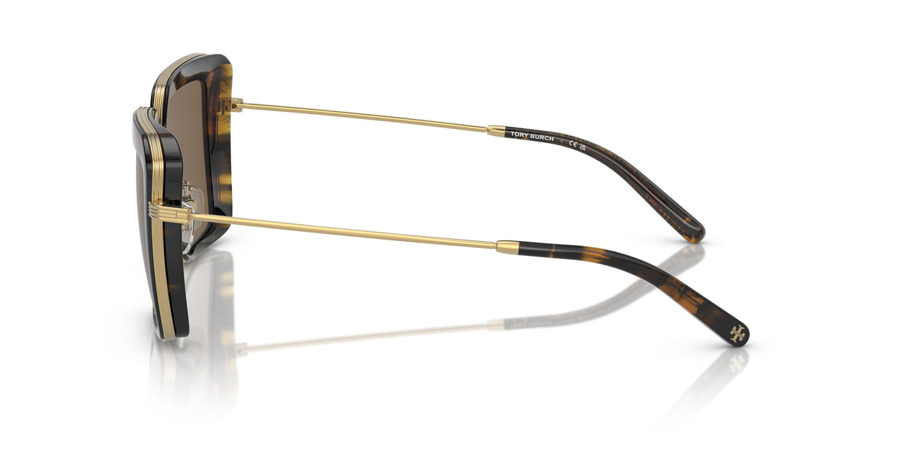 336373 - Tortoise - Dark Brown