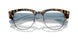 5883 - Tortoise - Clear