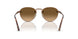 1123M2 - Brown - Polar Brown Gradient