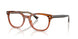6175 - Brown