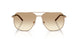 612913 - Brown - Brown Gradient