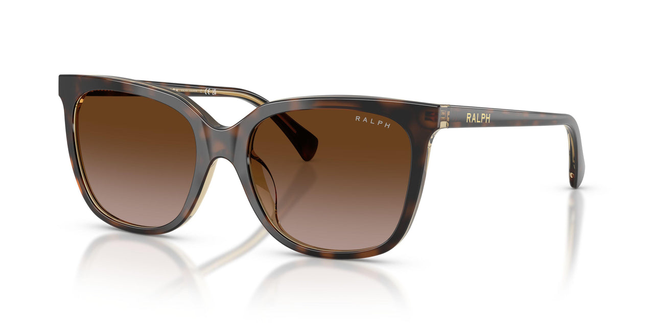 629413 - Brown - Gradient Brown