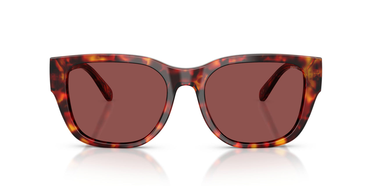 202375 - Tortoise - Dark Violet/red