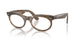 8294 - Light Brown - Clear