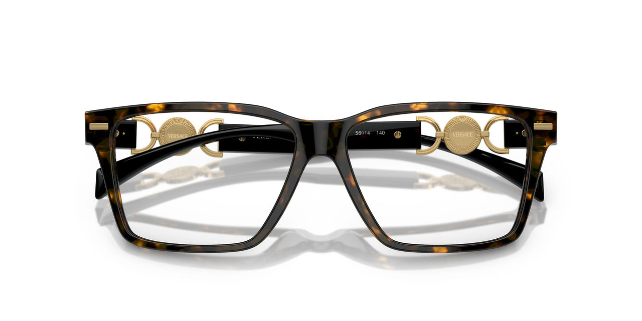 5404 - Tortoise
