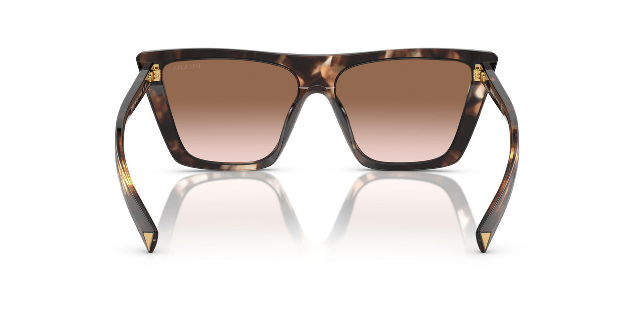 07R0A6 - Tortoise - Brown Gradient