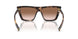 07R0A6 - Tortoise - Brown Gradient