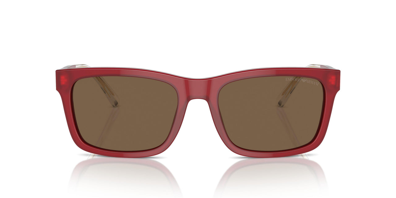 609373 - Red - Dark Brown