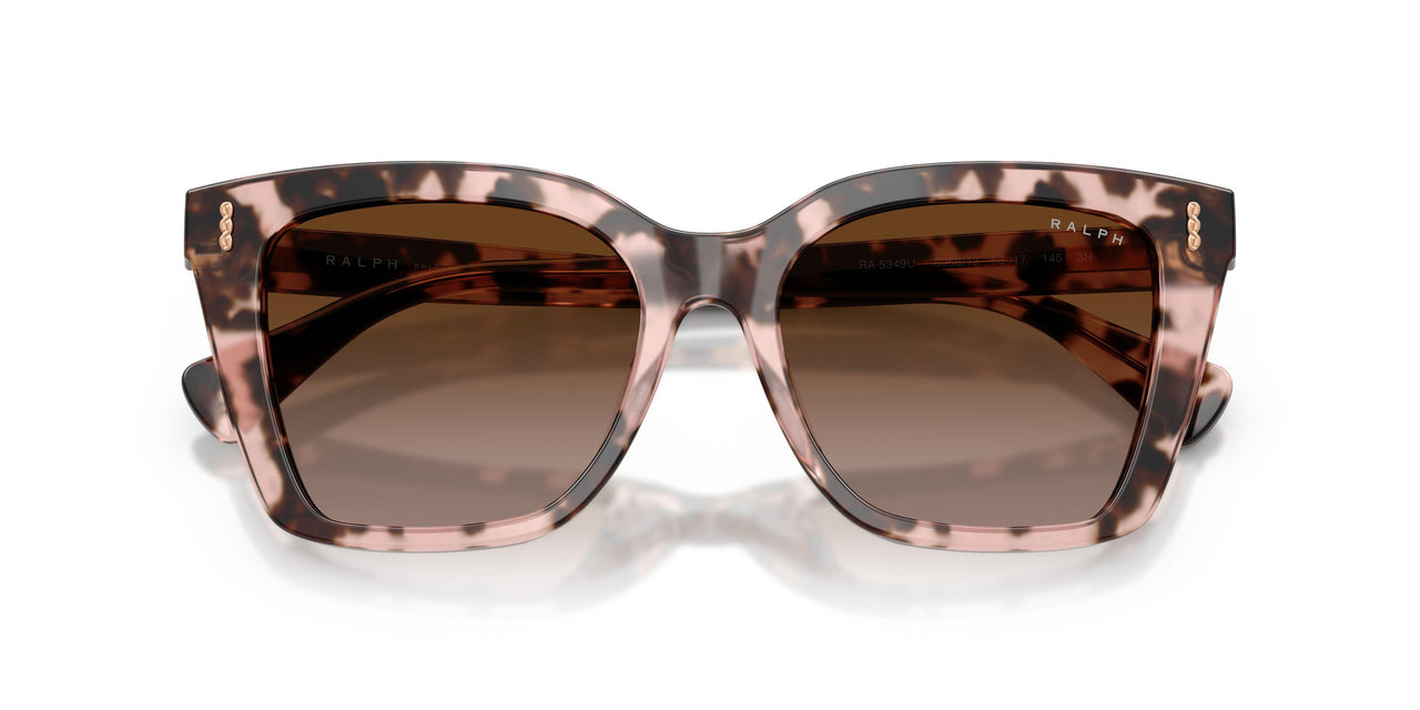605813 - Tortoise - Gradient Brown