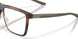 802904 - Tortoise