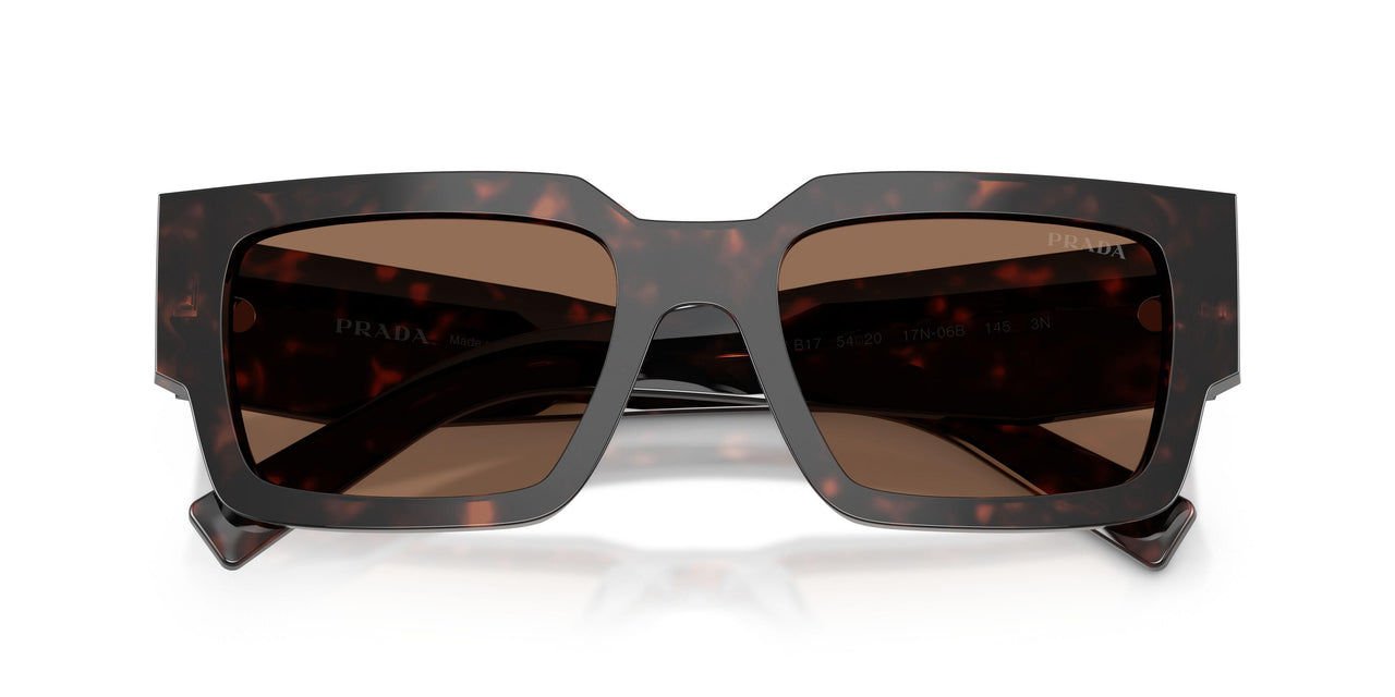 17N06B - Tortoise - Dark Brown