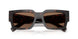 17N06B - Tortoise - Dark Brown