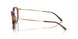 6465 - Brown
