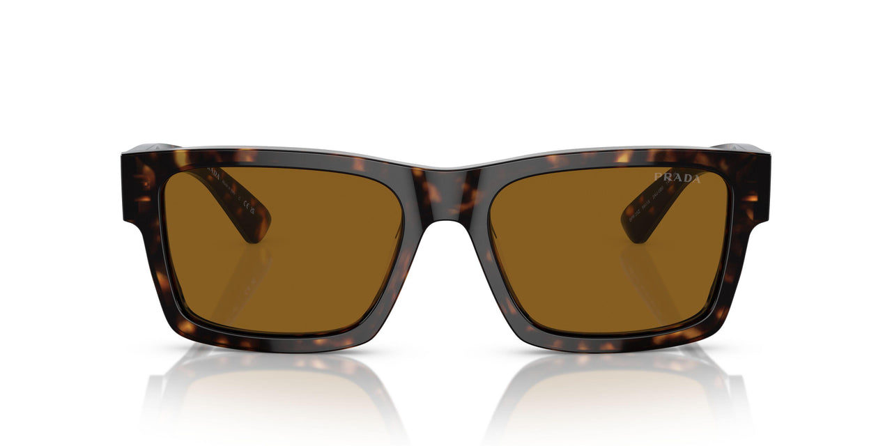 2AU0B0 - Tortoise - Brown