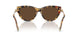 80643G - Tortoise - Light Brown