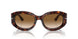 24/51 - Tortoise - Clear Gradient Brown
