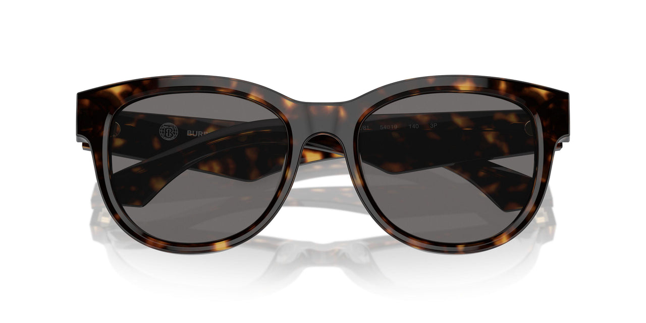 300281 - Brown - Dark Grey Polarized
