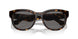 300281 - Brown - Dark Grey Polarized