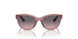 537646 - Violet - Pink Gradient Grey