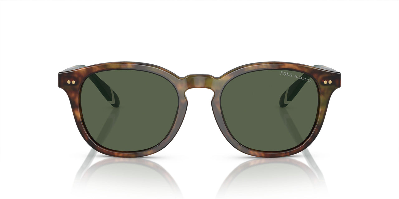 50179A - Tortoise - Bottle Green Polarized