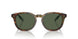 50179A - Tortoise - Bottle Green Polarized