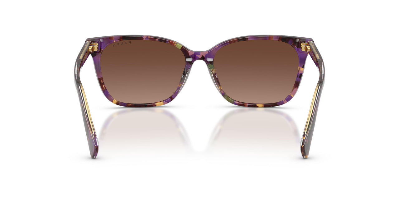 6303T5 - Tortoise - Polar Gradient Brown