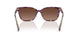 6303T5 - Tortoise - Polar Gradient Brown