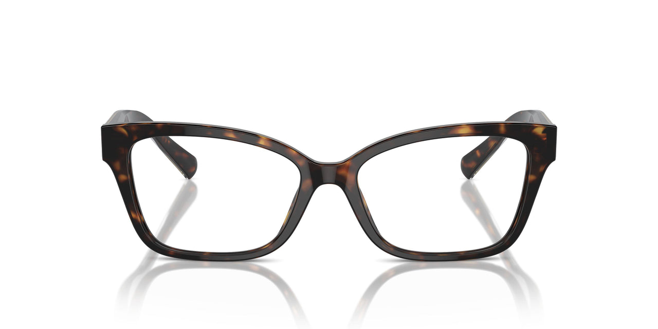 8015 - Tortoise