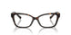 8015 - Tortoise