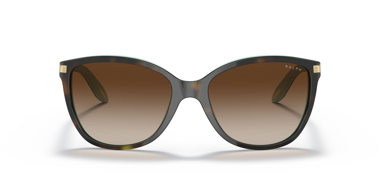 601/13 - Brown - Gradient Brown
