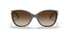 601/13 - Brown - Gradient Brown