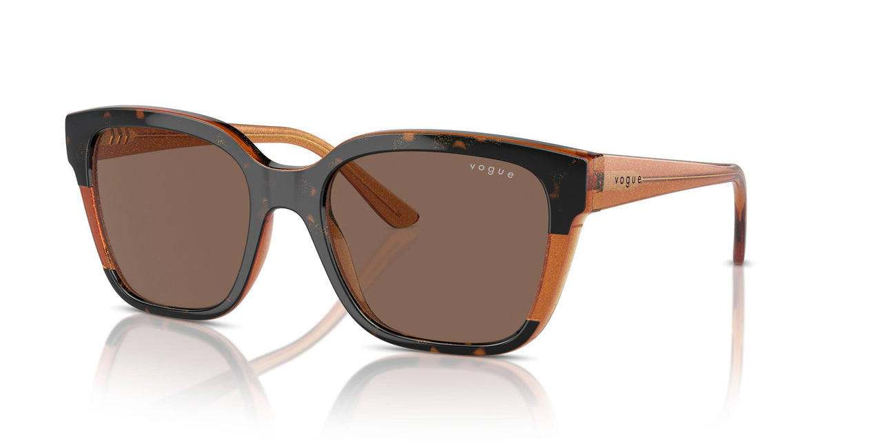 313473 - Tortoise - Dark Brown