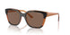 313473 - Tortoise - Dark Brown