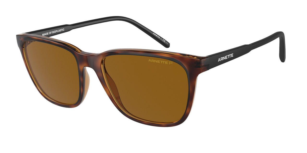 277083 - Havana - Polar Brown