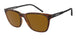 277083 - Havana - Polar Brown