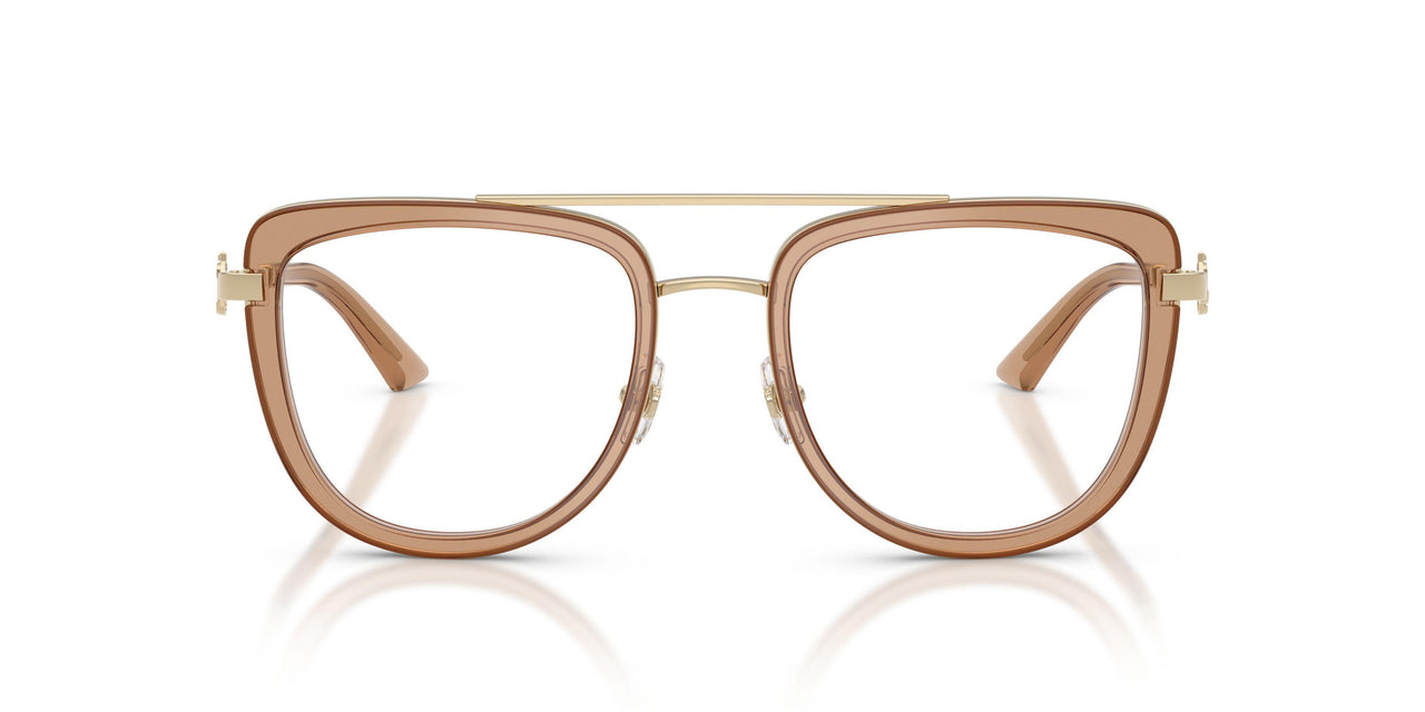 3006 - Brown