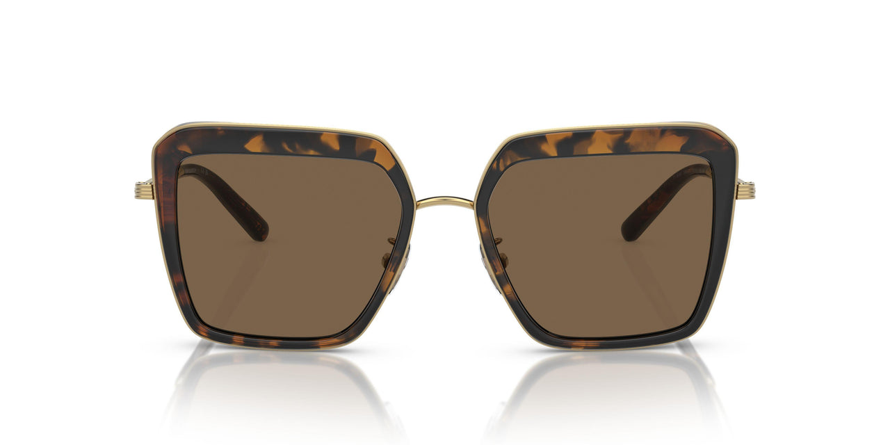 336373 - Tortoise - Dark Brown