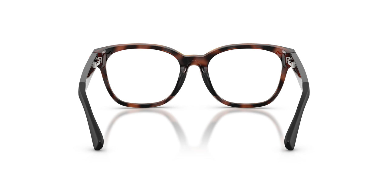 5974 - Tortoise