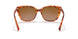 591113 - Havana - Gradient Brown