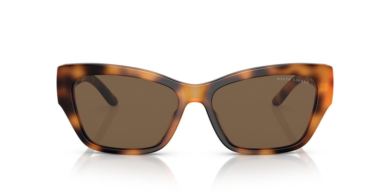 530373 - Havana - Dark Brown