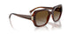2571T5 - Brown - Gradient Brown Polar
