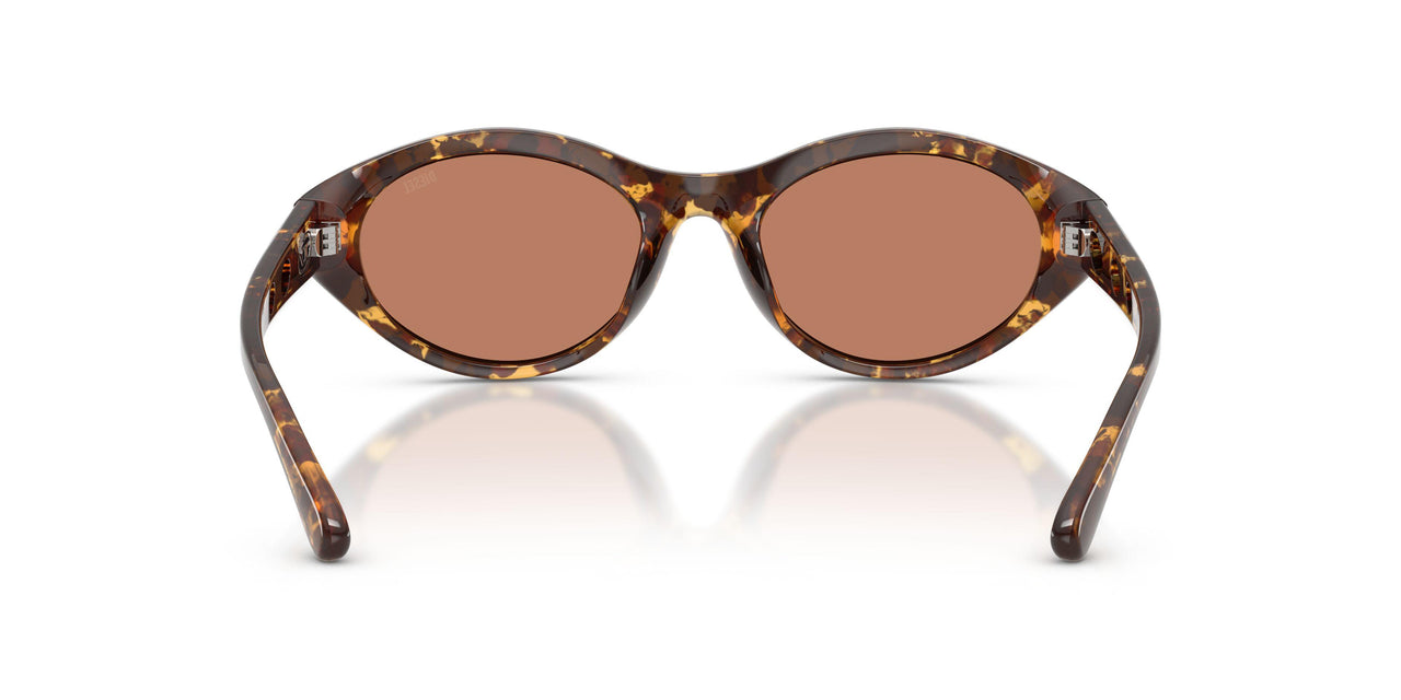 201373 - Tortoise - Solid Brown